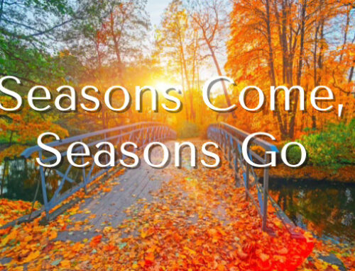 Seasons Come, Seasons Go