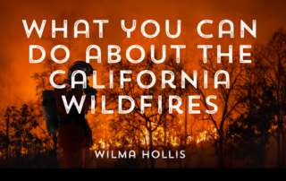 California Wildfires burning behind shadowy trees