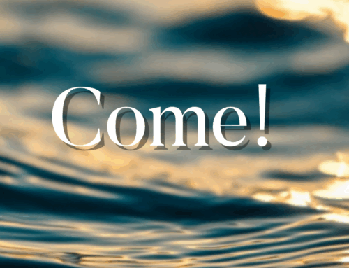 Come!