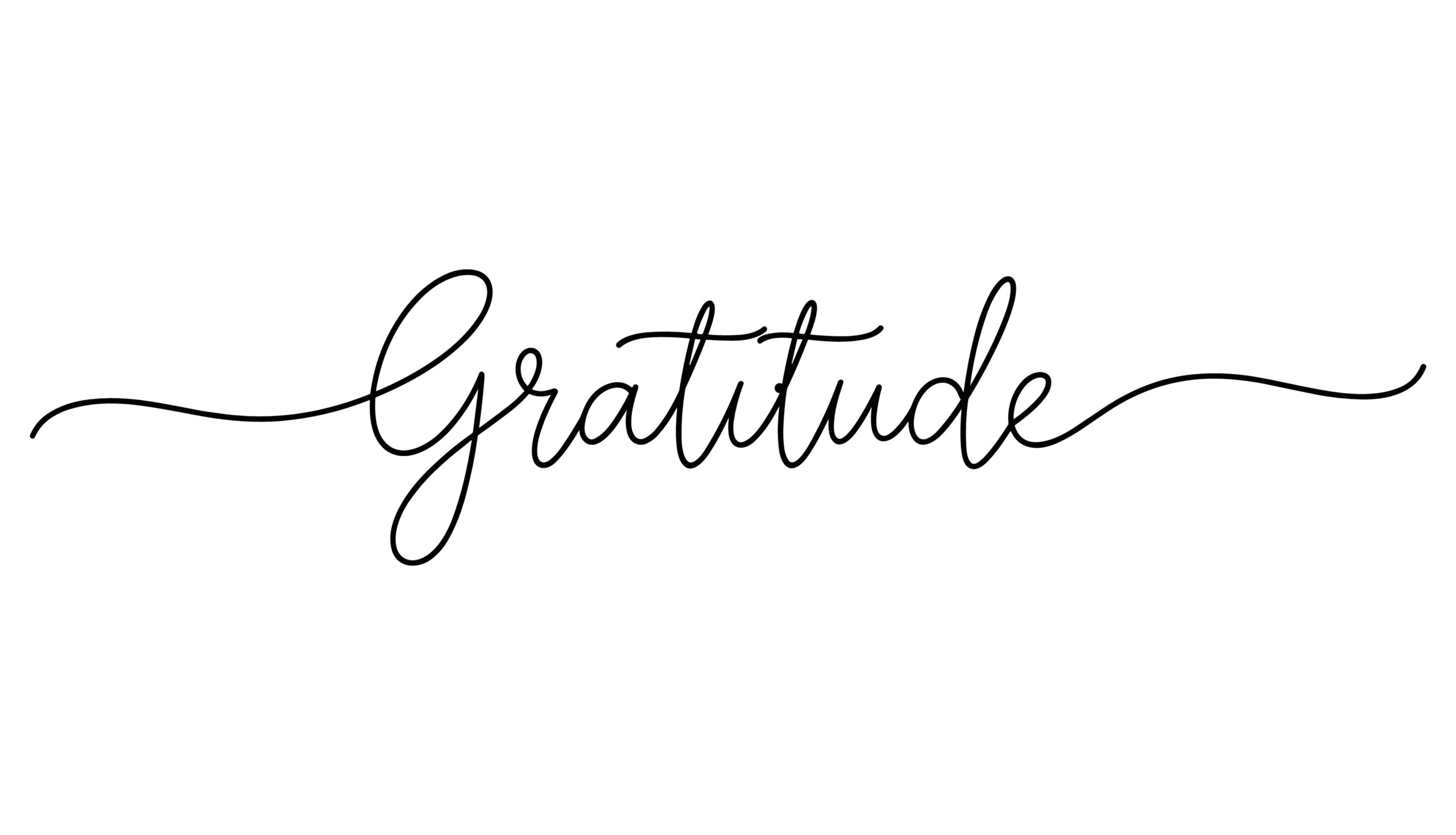 Gratitude Script Vector . Continuous One Line Positive Quote Lettering Art Vector